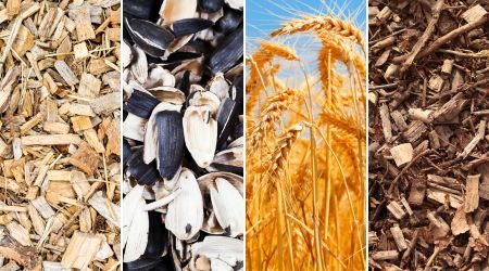 Biomass feedstocks