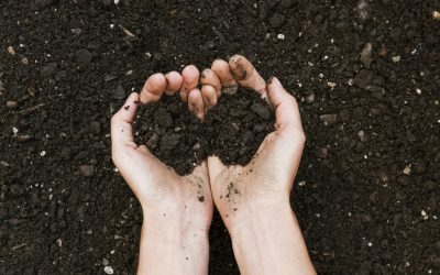 Compost-Header