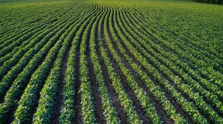 Soil conditioning